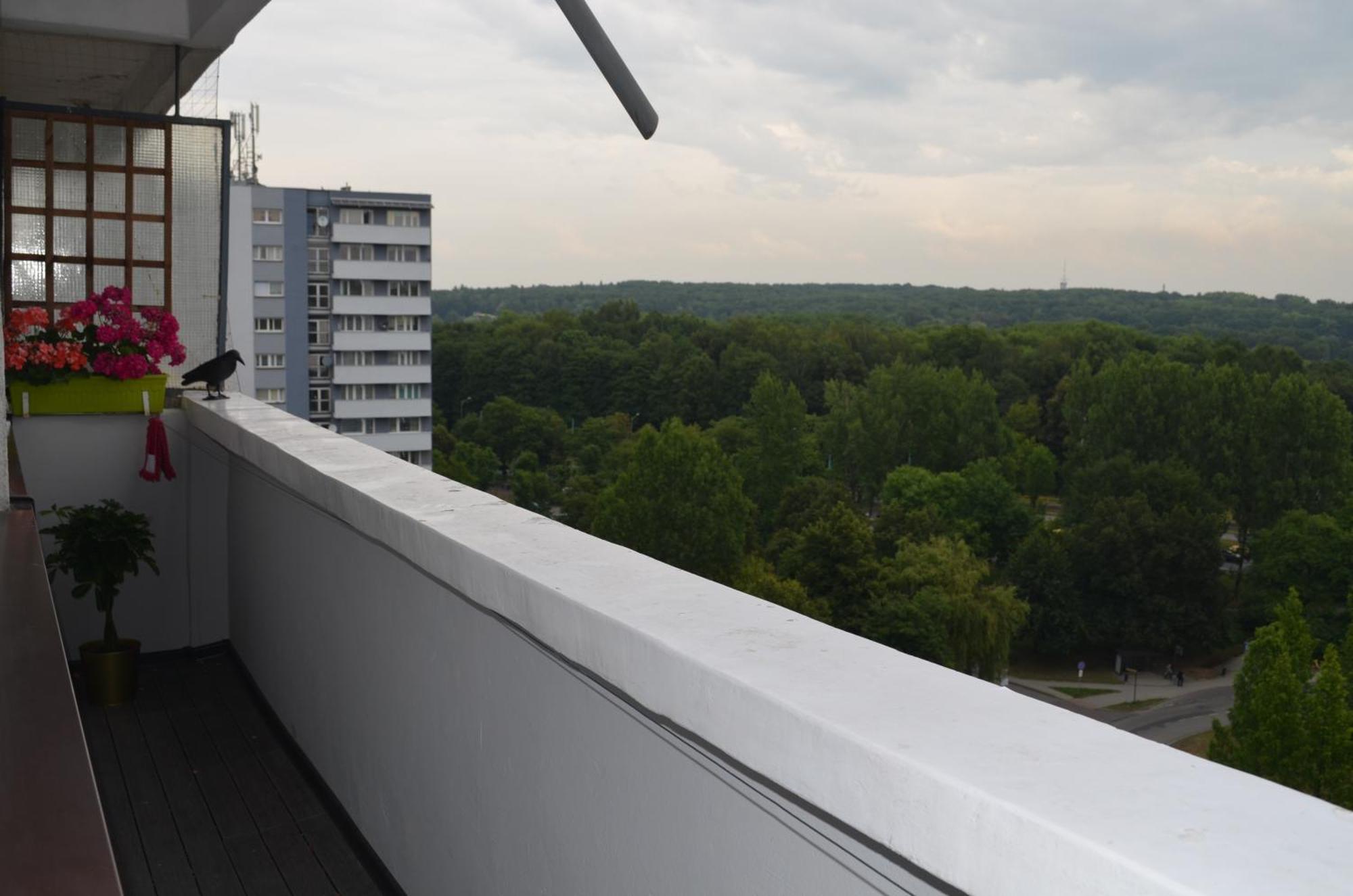 Apartment Silesia Park - Free Parking - Easy Check-In Katowice Zewnętrze zdjęcie
